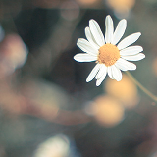 ddos攻击防御手段