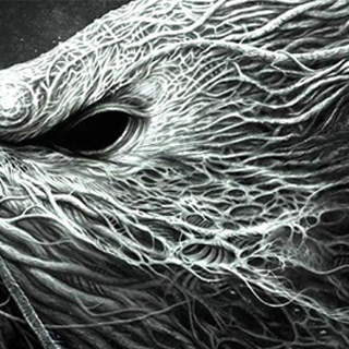 DDOS在线攻击平台