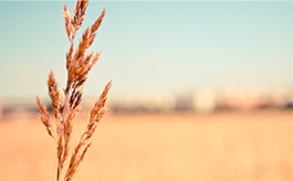 网络ddos攻击软件