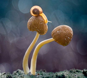 手机攻击器APP下载